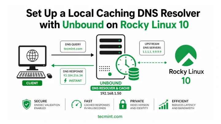 Install and Configure Unbound DNS Resolver on Rocky Linux 10