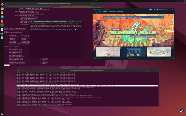 Steam Play on Linux