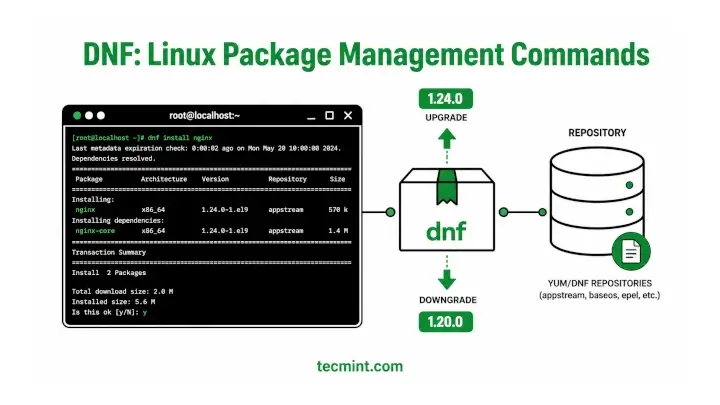 20 Essential DNF Commands for Package Management in Linux