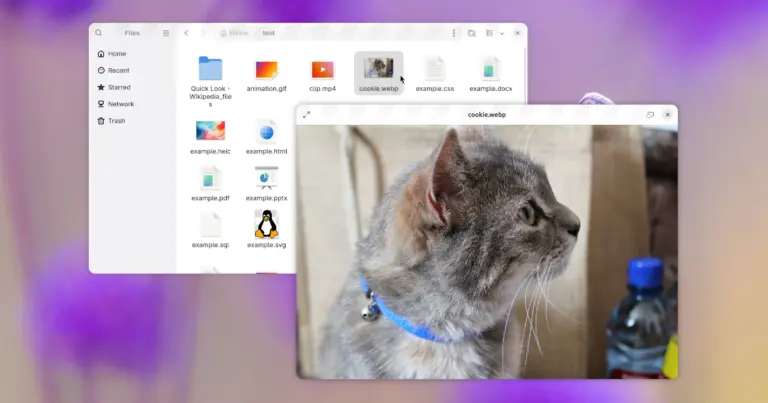 GNOME Sushi gets a GTK4 revamp, new features